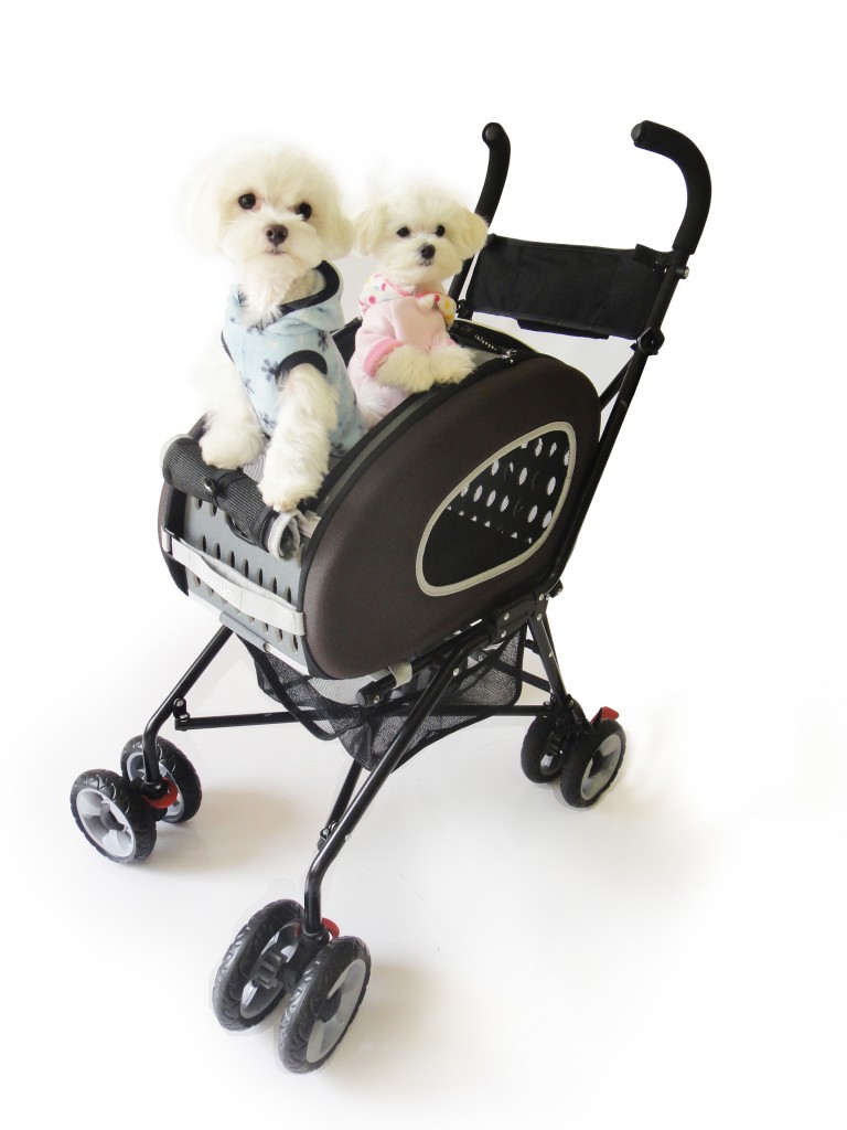 InnoPet Buggy 5 in 1 chocolate