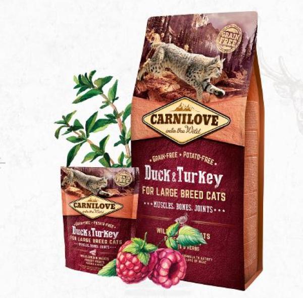 Carnilove Cat TF Adult Large Breed Duck, Turkey 2kg  - 512768