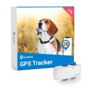 Tractive GPS Tracker 4 Hund - Coffee Tractive