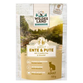 Fel Adult Ente Pute Cranberries 12x100g