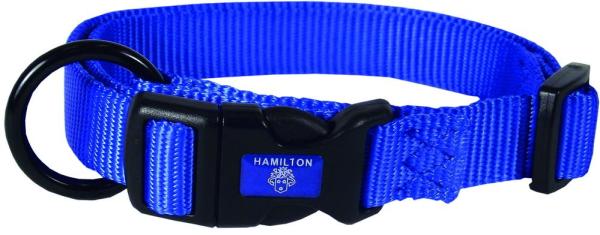 Hundehalsband blau 2.5 x 45 - 65 cm